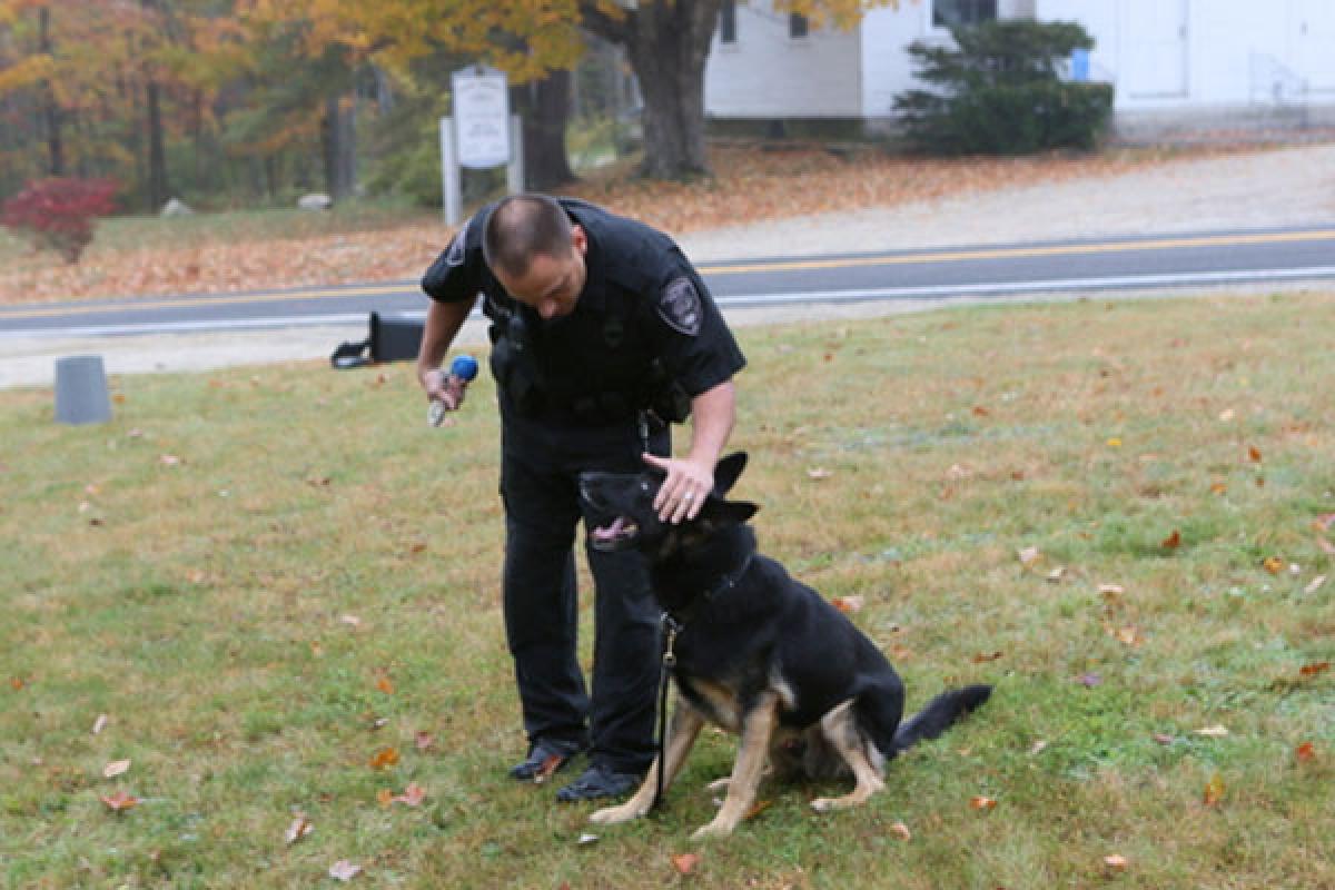 Police Dog biting Officer with padding